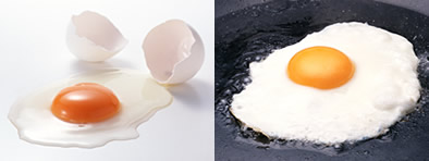 卵の白身が熱で固まる写真
